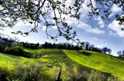 电竞选手在国际赛事(shì)中斩获佳绩