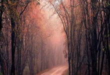 中国石油(yóu)签署逾400亿元合同(tóng)收(shōu)购三(sān)家储气库全部股(gǔ)权