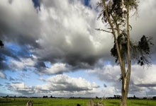 锁定斗鱼看(kàn) 2025 电竞世界(jiè)杯：豪华解(jiě)说+互动福利 开启盛夏观赛狂(kuáng)歡(huān)