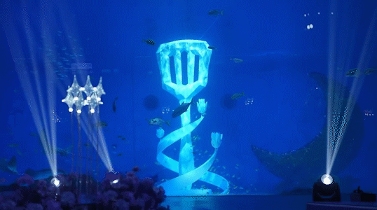 30岁这年，她成为电竞冠军