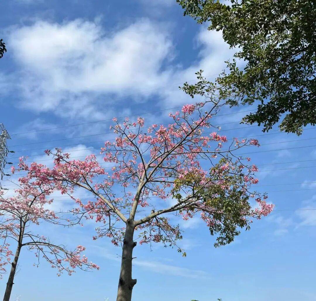 本周末，深圳天气将反转！