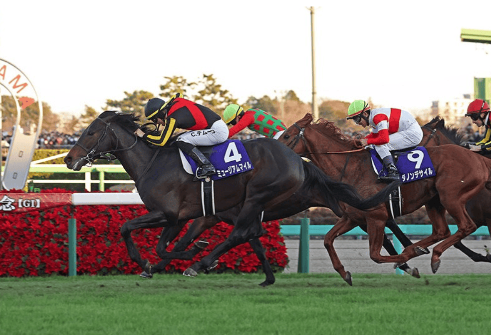 【盘点】中国赛驹赢下几场?2025全球国际赛马节暨重磅一级赛视频集锦