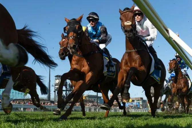 【盘点】中国赛驹赢下几场?2025全球国际赛马节暨重磅一级赛视频集锦