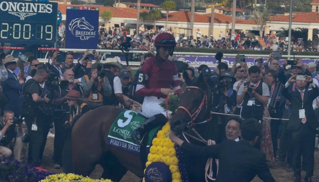 【盘点】中国赛驹赢下几场?2025全球国际赛马节暨重磅一级赛视频集锦