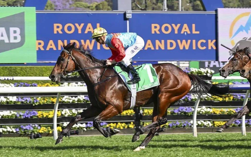 【盘点】中国赛驹赢下几场?2025全球国际赛马节暨重磅一级赛视频集锦