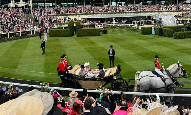 【盘点】中国赛驹赢下几场?2025全球国际赛马节暨重磅一级赛视频集锦