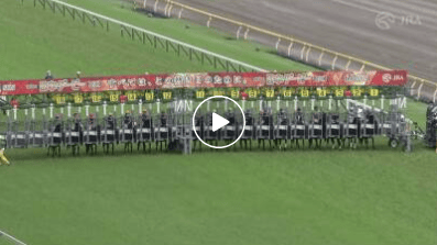 【盘点】中国赛驹赢下几场?2025全球国际赛马节暨重磅一级赛视频集锦