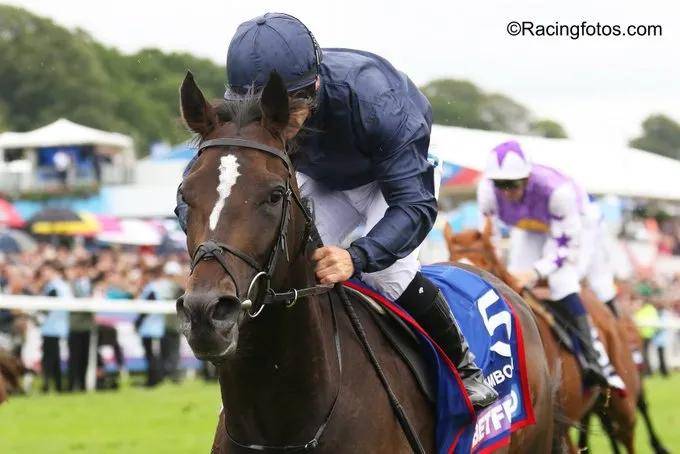 【盘点】中国赛驹赢下几场?2025全球国际赛马节暨重磅一级赛视频集锦