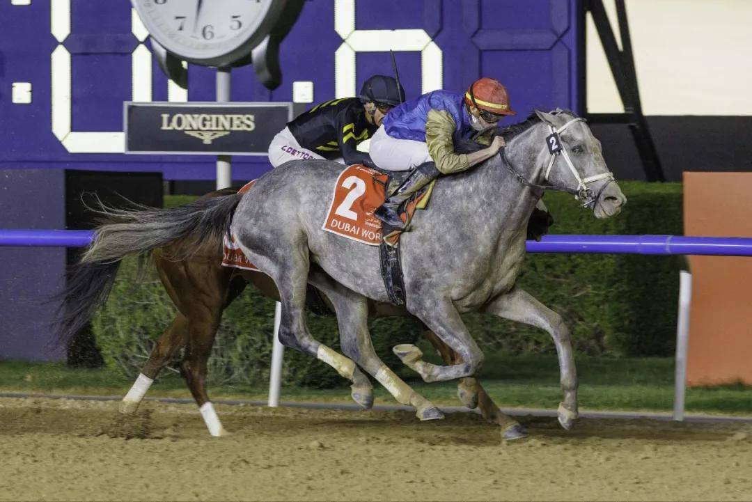 【盘点】中国赛驹赢下几场?2025全球国际赛马节暨重磅一级赛视频集锦