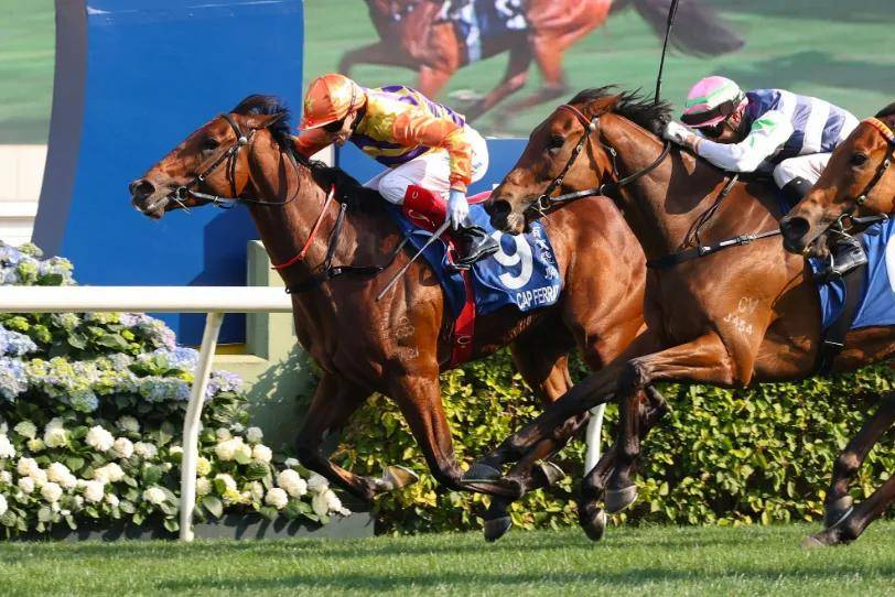 【盘点】中国赛驹赢下几场?2025全球国际赛马节暨重磅一级赛视频集锦