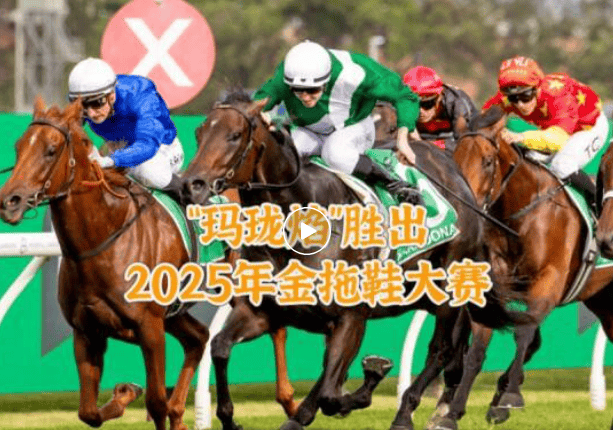 【盘点】中国赛驹赢下几场?2025全球国际赛马节暨重磅一级赛视频集锦