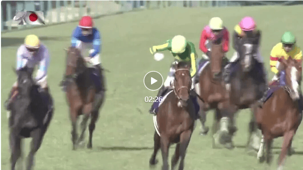 【盘点】中国赛驹赢下几场?2025全球国际赛马节暨重磅一级赛视频集锦