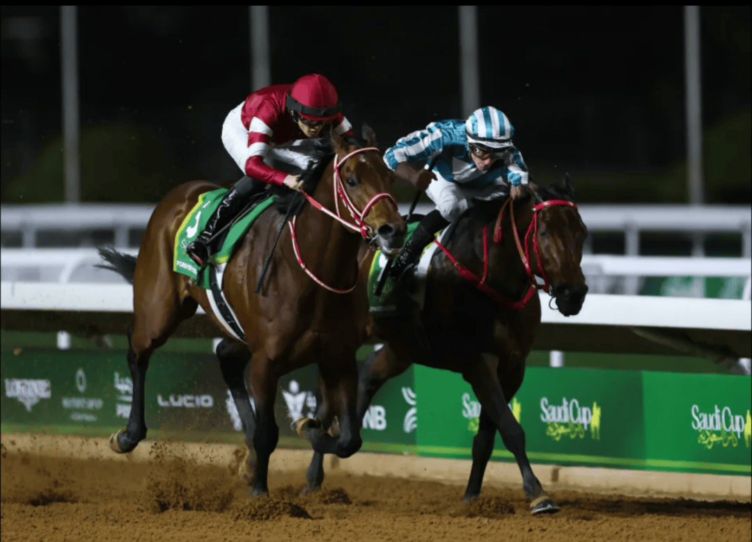 【盘点】中国赛驹赢下几场?2025全球国际赛马节暨重磅一级赛视频集锦