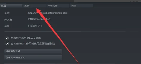 解决街霸6联机组队失败问题的实用指南